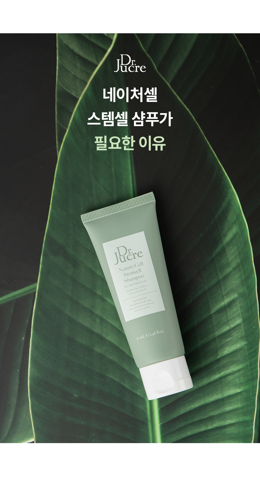 stemcell_06_70ml